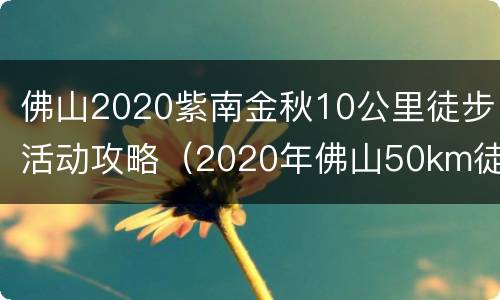 佛山2020紫南金秋10公里徒步活动攻略（2020年佛山50km徒步时间）