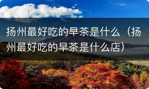扬州最好吃的早茶是什么（扬州最好吃的早茶是什么店）