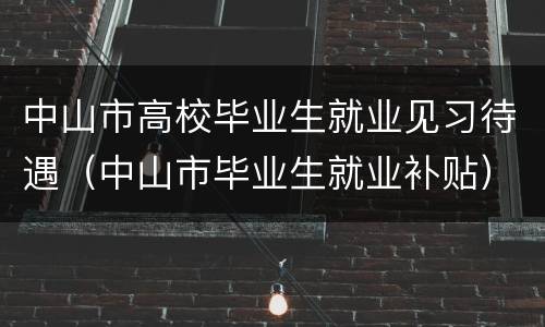 中山市高校毕业生就业见习待遇（中山市毕业生就业补贴）