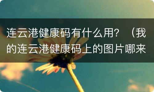 连云港健康码有什么用？（我的连云港健康码上的图片哪来的）