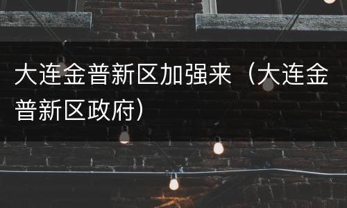 大连金普新区加强来（大连金普新区政府）