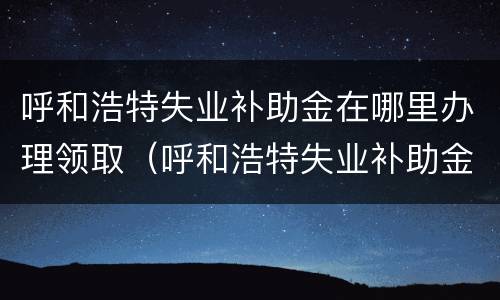 呼和浩特失业补助金在哪里办理领取（呼和浩特失业补助金在哪里办理领取手续）