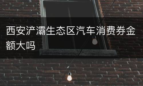 西安浐灞生态区汽车消费券金额大吗