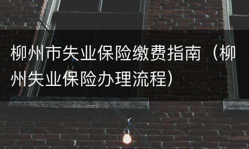 柳州市失业保险缴费指南（柳州失业保险办理流程）