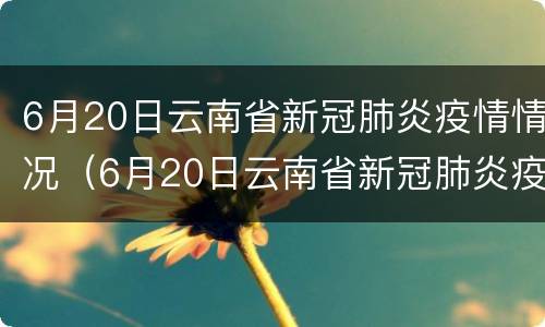 6月20日云南省新冠肺炎疫情情况（6月20日云南省新冠肺炎疫情情况如何）