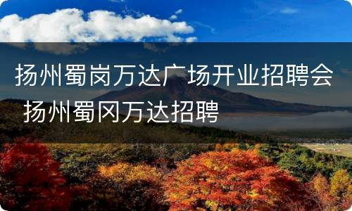 扬州蜀岗万达广场开业招聘会 扬州蜀冈万达招聘