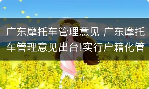 广东摩托车管理意见 广东摩托车管理意见出台!实行户籍化管理