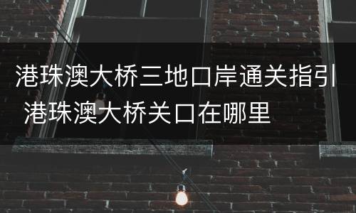 港珠澳大桥三地口岸通关指引 港珠澳大桥关口在哪里