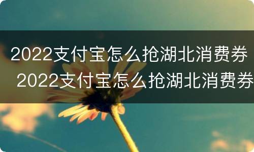 2022支付宝怎么抢湖北消费券 2022支付宝怎么抢湖北消费券呀