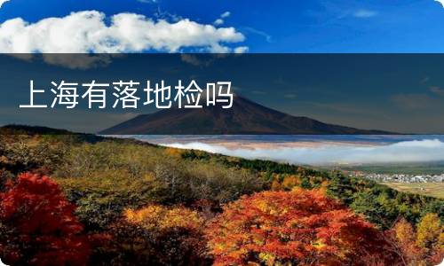 上海有落地检吗