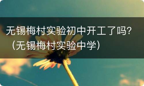无锡梅村实验初中开工了吗？（无锡梅村实验中学）