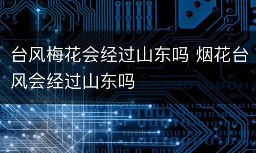 台风梅花会经过山东吗 烟花台风会经过山东吗