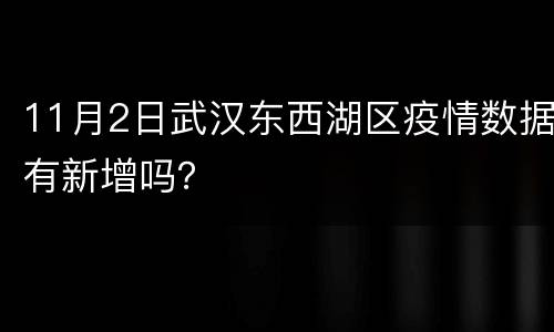 11月2日武汉东西湖区疫情数据有新增吗？
