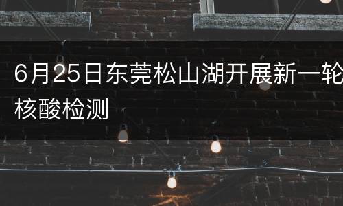 6月25日东莞松山湖开展新一轮核酸检测
