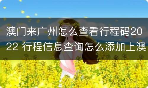 澳门来广州怎么查看行程码2022 行程信息查询怎么添加上澳门