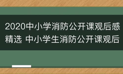 2020中小学消防公开课观后感精选 中小学生消防公开课观后感600字