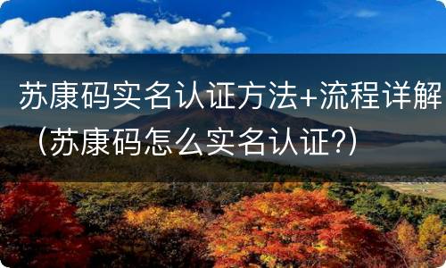 苏康码实名认证方法+流程详解（苏康码怎么实名认证?）