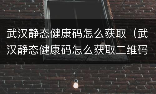武汉静态健康码怎么获取（武汉静态健康码怎么获取二维码）