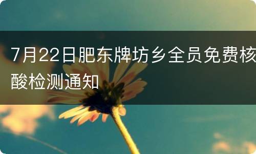 7月22日肥东牌坊乡全员免费核酸检测通知