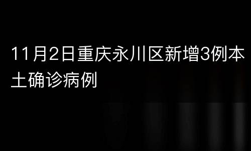11月2日重庆永川区新增3例本土确诊病例