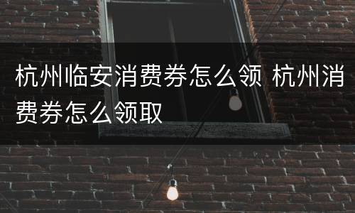 杭州临安消费券怎么领 杭州消费券怎么领取