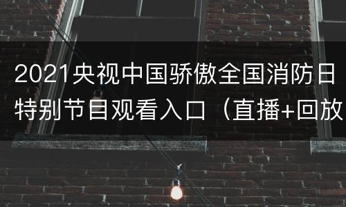 2021央视中国骄傲全国消防日特别节目观看入口（直播+回放）