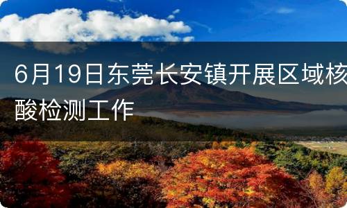 6月19日东莞长安镇开展区域核酸检测工作