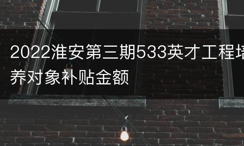 2022淮安第三期533英才工程培养对象补贴金额