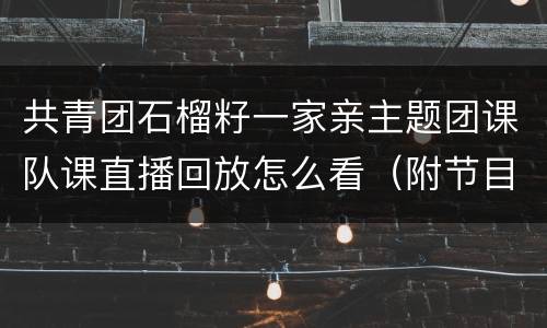 共青团石榴籽一家亲主题团课队课直播回放怎么看（附节目单）