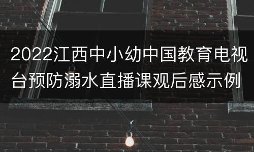 2022江西中小幼中国教育电视台预防溺水直播课观后感示例