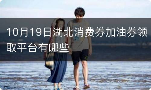 10月19日湖北消费券加油券领取平台有哪些