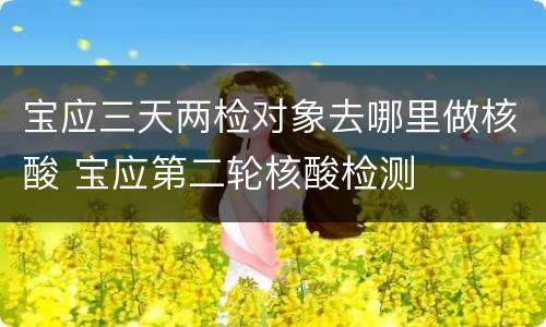 宝应三天两检对象去哪里做核酸 宝应第二轮核酸检测
