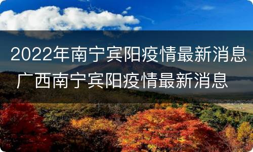 2022年南宁宾阳疫情最新消息 广西南宁宾阳疫情最新消息