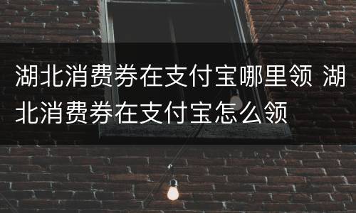 湖北消费券在支付宝哪里领 湖北消费券在支付宝怎么领