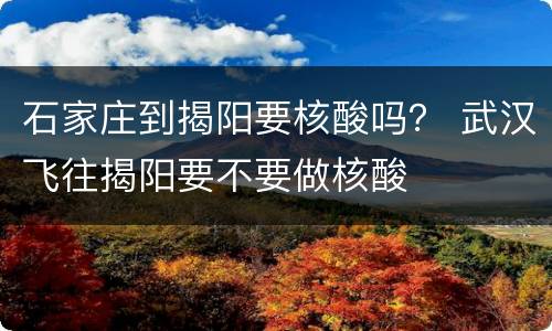 石家庄到揭阳要核酸吗？ 武汉飞往揭阳要不要做核酸