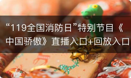 “119全国消防日”特别节目《中国骄傲》直播入口+回放入口