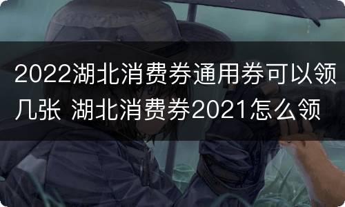 2022湖北消费券通用券可以领几张 湖北消费券2021怎么领