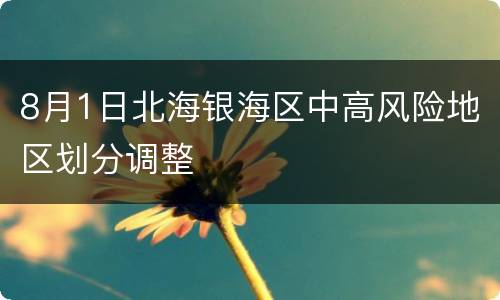 8月1日北海银海区中高风险地区划分调整