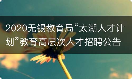 2020无锡教育局“太湖人才计划”教育高层次人才招聘公告