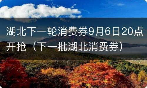湖北下一轮消费券9月6日20点开抢（下一批湖北消费券）