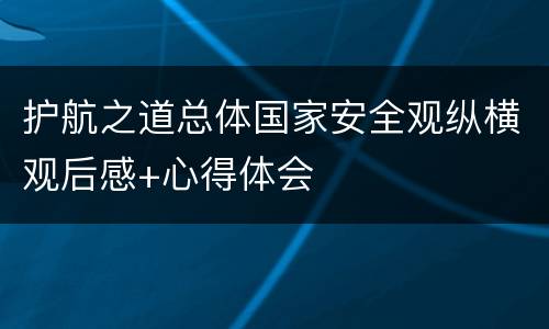 护航之道总体国家安全观纵横观后感+心得体会