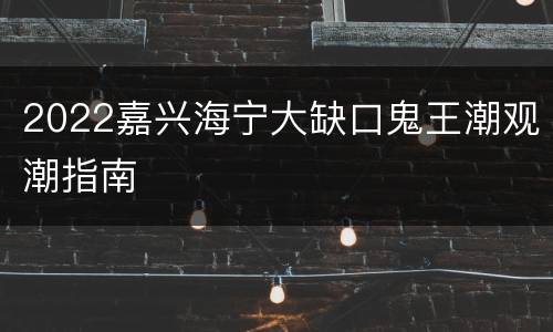 2022嘉兴海宁大缺口鬼王潮观潮指南