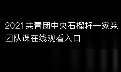 2021共青团中央石榴籽一家亲团队课在线观看入口