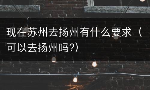 现在苏州去扬州有什么要求（可以去扬州吗?）