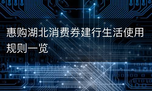 惠购湖北消费券建行生活使用规则一览