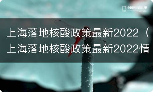 上海落地核酸政策最新2022（上海落地核酸政策最新2022情况）