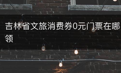 吉林省文旅消费券0元门票在哪领