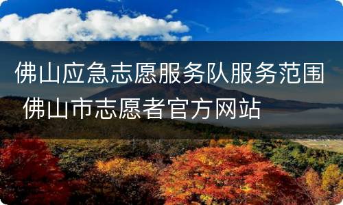 佛山应急志愿服务队服务范围 佛山市志愿者官方网站