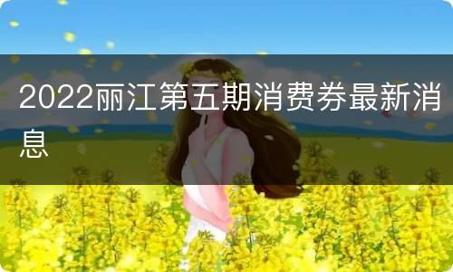 2022丽江第五期消费券最新消息