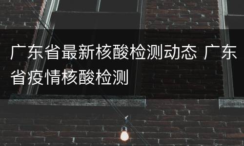 广东省最新核酸检测动态 广东省疫情核酸检测